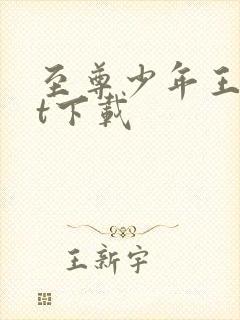 至尊少年王txt下载