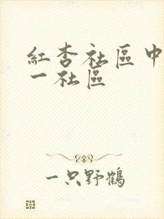 红杏社区中文第一社区