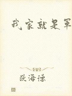 我家就是军火铺