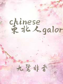 chinese东北人galore