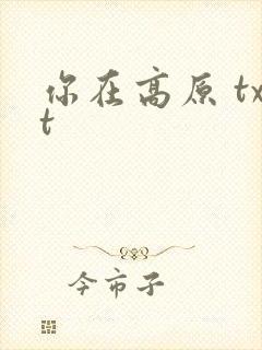 你在高原 txt