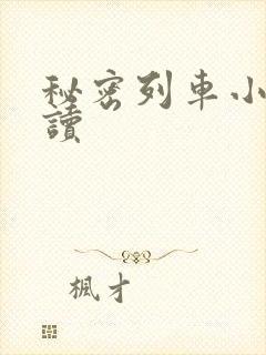 秘密列车小说阅读