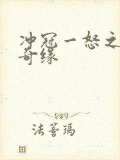 冲冠一怒之合租奇缘