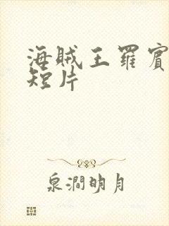 海贼王罗宾被h短片