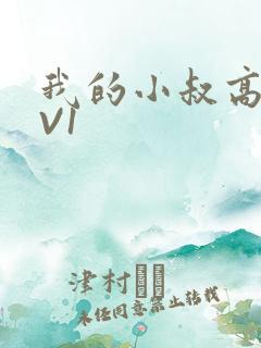 我的小叔高H1V1