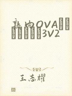 熟肉OVAちゃんはしたい3V2