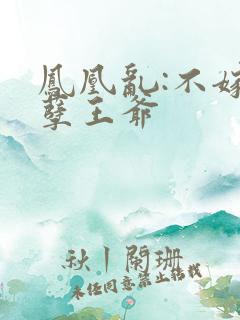 凤凰乱:不嫁妖孽王爷