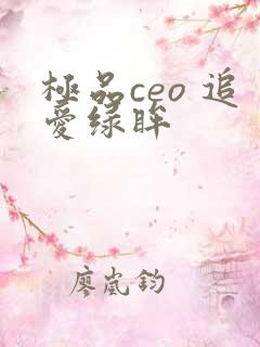极品ceo 追爱绿眸