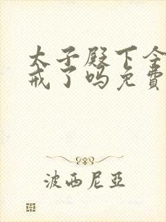 太子殿下今天破戒了吗免费阅读