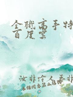 全职高手特别篇百度云