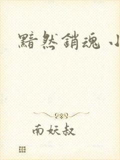 黯然销魂 小说