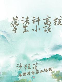 魔法科高校的劣等生小说