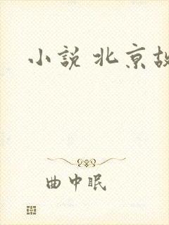 小说 北京故事