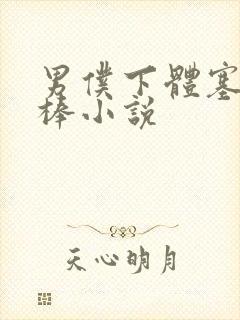 男仆下体塞震动棒小说