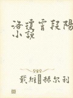 洛琼霄段阳澍的小说