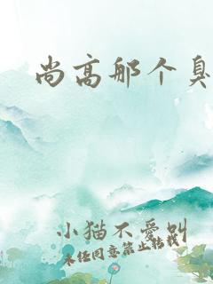 尚高那个臭小子