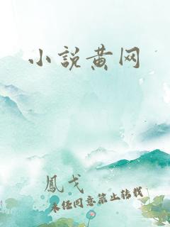 小说黄网