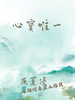 心宝唯一