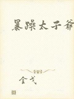 暴躁太子爷