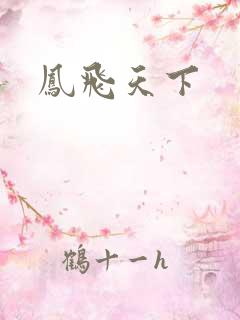 凤飞天下
