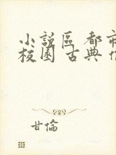 小说区 都市 校园 古典 偷拍