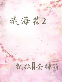 藏海花2