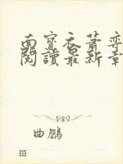 南宝衣萧弈免费阅读最新章节