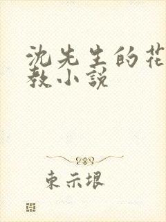 沈先生的花式调教小说