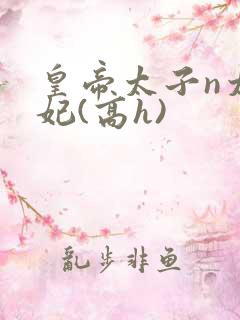 皇帝太子n太子妃(高h)