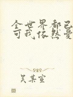 全世界都已剧终可我依然爱你