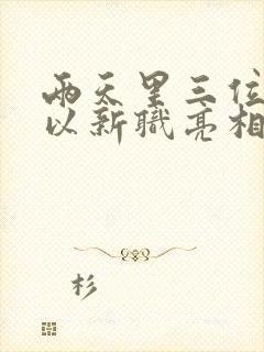 两天里三位将军以新职亮相