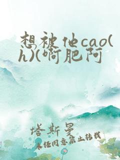 想被他cao(h)(啊肥阿