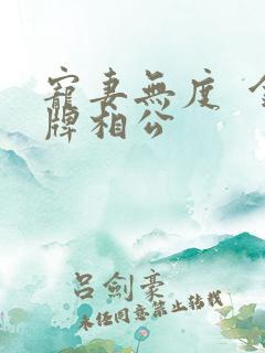 宠妻无度  金牌相公