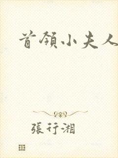 首领小夫人