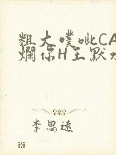 粗大噗呲CAO烂你H王默水王子