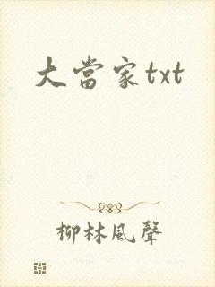 大当家txt