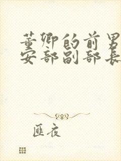 董卿的前男友公安部副部长