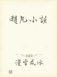 赵凡小说