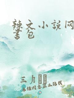 辣文小说网第二书包