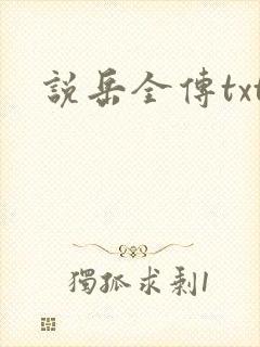 说岳全传txt
