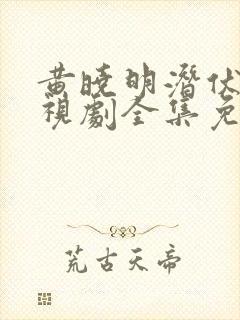 黄晓明潜伏者电视剧全集免费观看