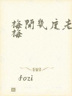 梅开几度老周张梅