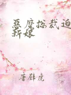 恶魔总裁迫嫁小新娘