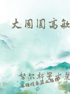 大团圆高敏