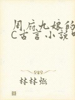 周府九娘的NPC古言小说叫什么