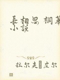 长相思 桐华 小说