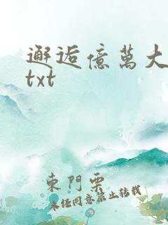 邂逅亿万大人物txt