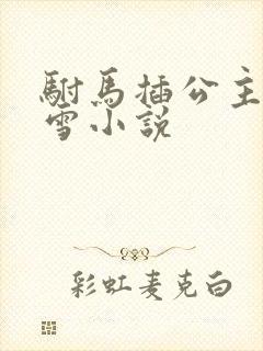 驸马插公主恋战雪小说