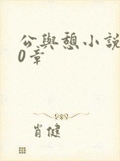 公与憩小说400章