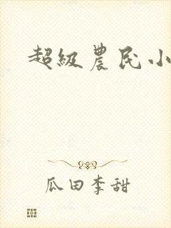 超级农民小说